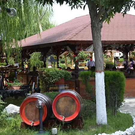 호텔 Poienita 코스티네스티